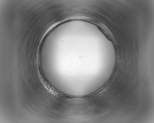 X0000078891044200612111800