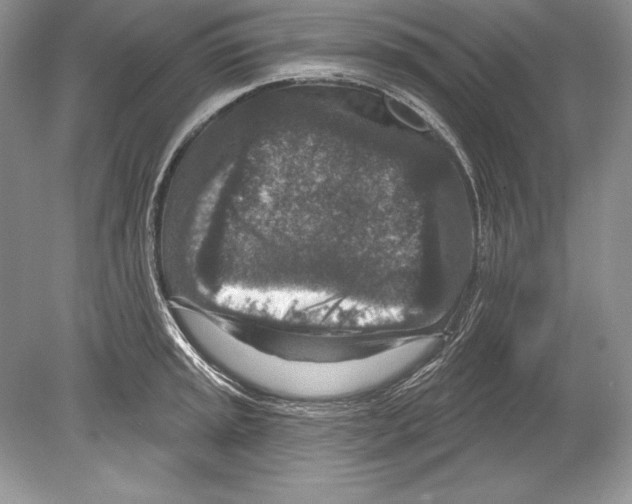 X0000078891045200612111800