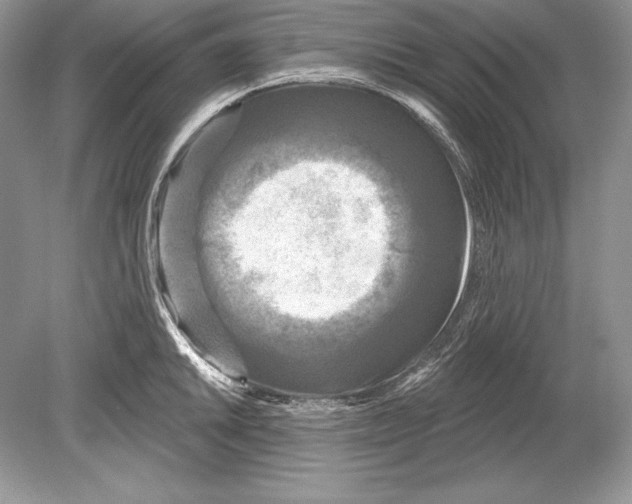 X0000078891046200612111800