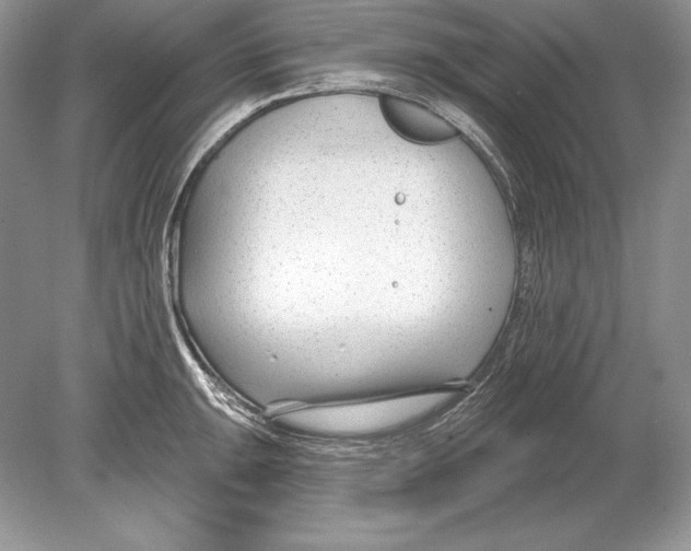 X0000078891047200612111800