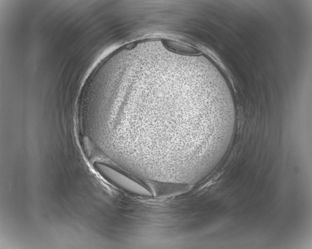 X0000078891048200612111800