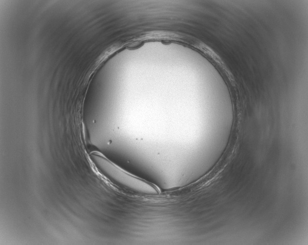 X0000078891049200612111800