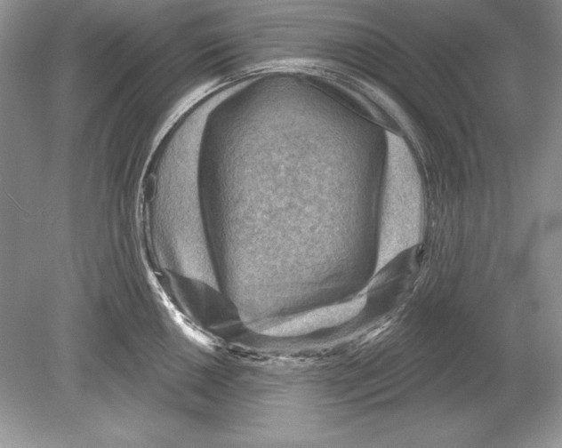 X0000078891050200612111800