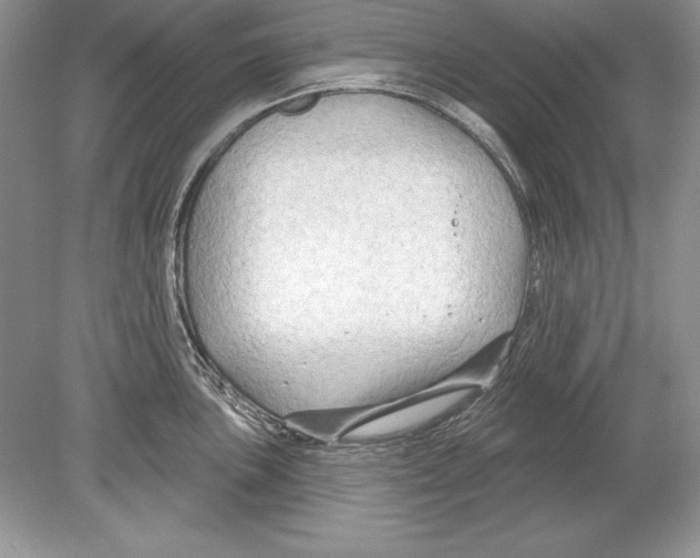 X0000078891051200612111800