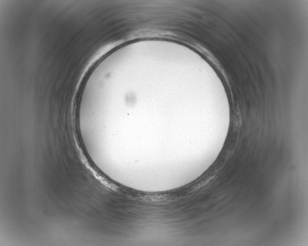 X0000078891053200612111800