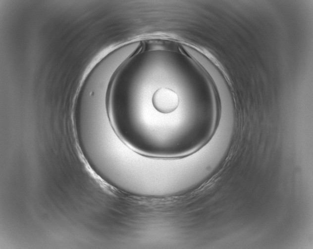 X0000078891054200612111800