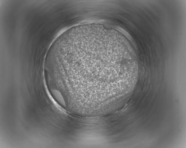 X0000078891055200612111800