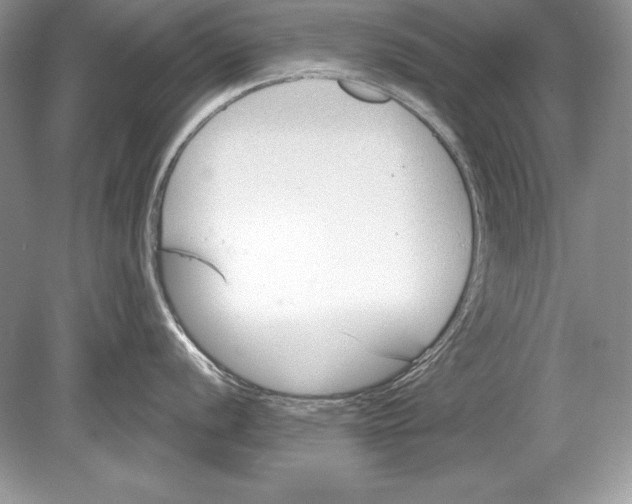 X0000078891056200612111800