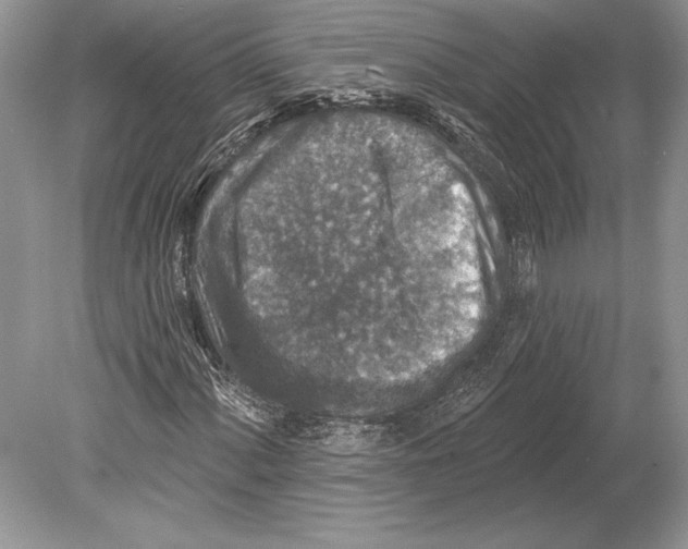 X0000078891060200612111759