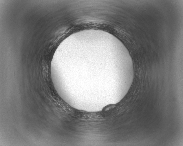 X0000078891061200612111759