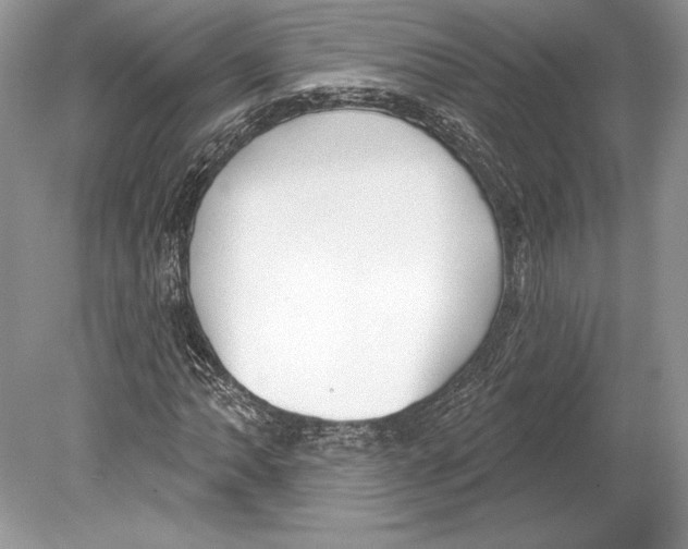 X0000078891062200612111759