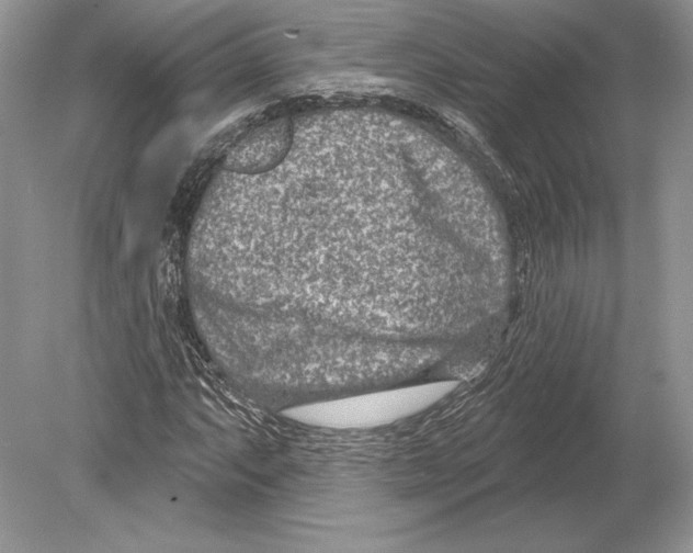 X0000078891063200612111759