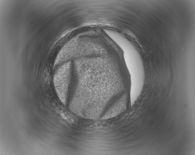 X0000078891064200612111759