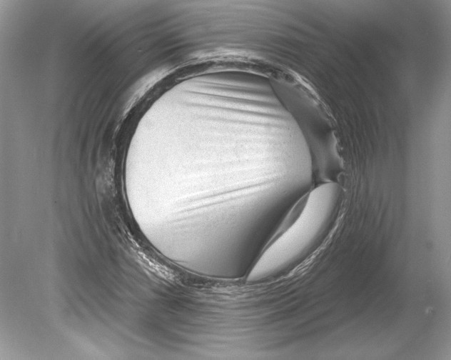 X0000078891066200612111759