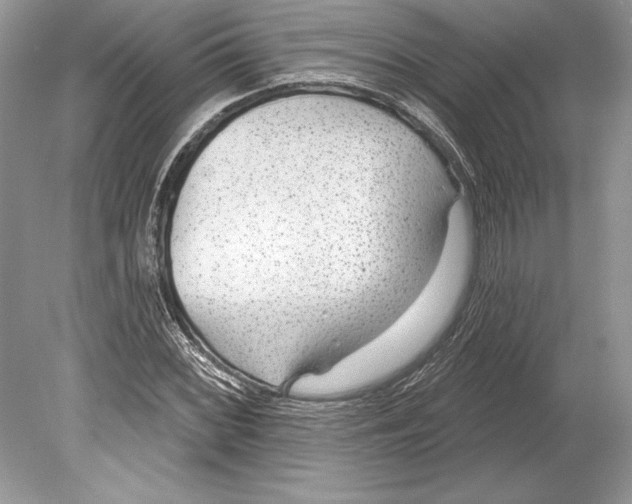 X0000078891068200612111759