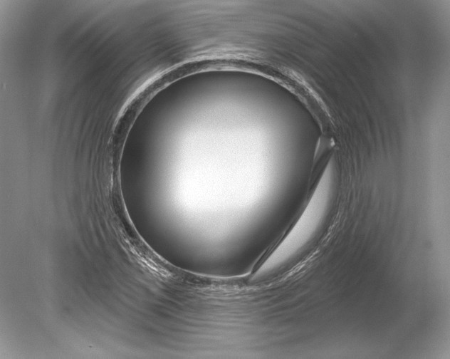 X0000078891069200612111759