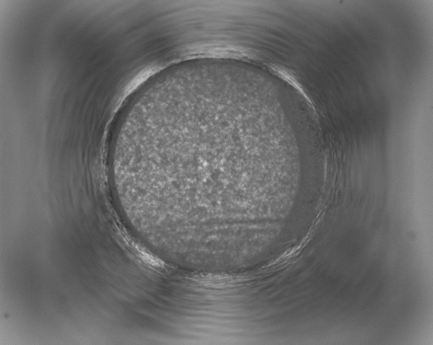 X0000078891071200612111759