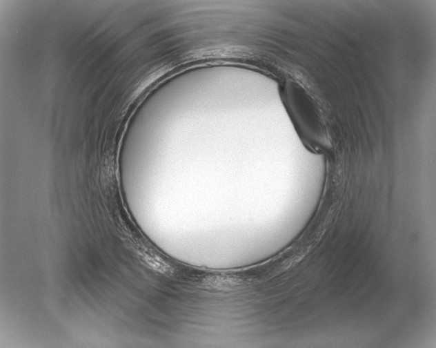 X0000078891073200612111759