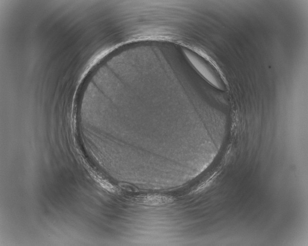 X0000078891077200612111759