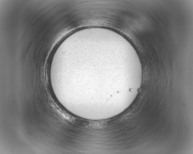 X0000078891078200612111759