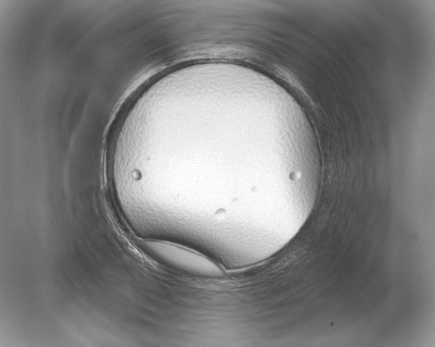 X0000078891079200612111759