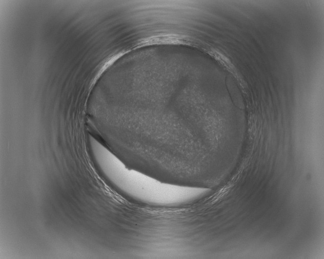 X0000078891081200612111759