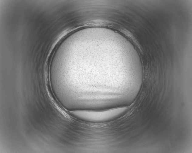 X0000078891083200612111759