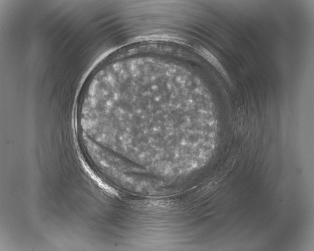 X0000078891084200612111759