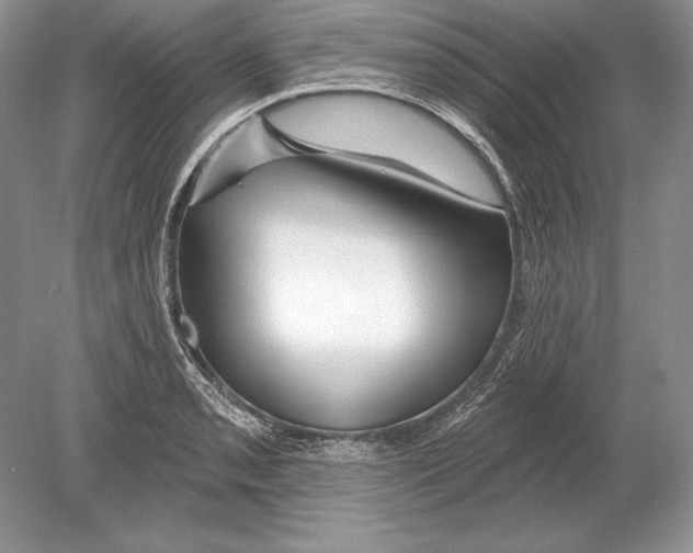 X0000078891085200612111759