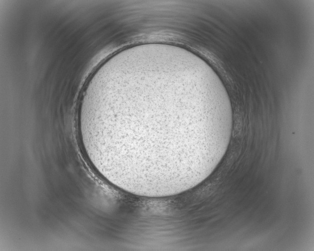 X0000078891086200612111759