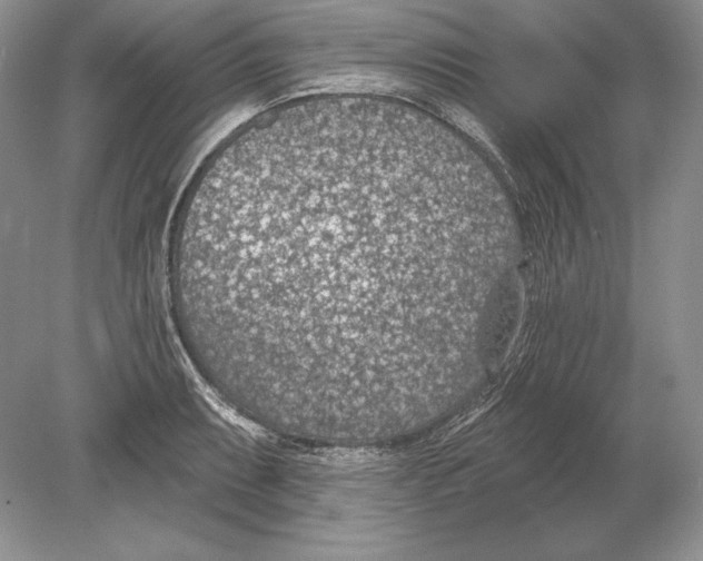 X0000078891087200612111759