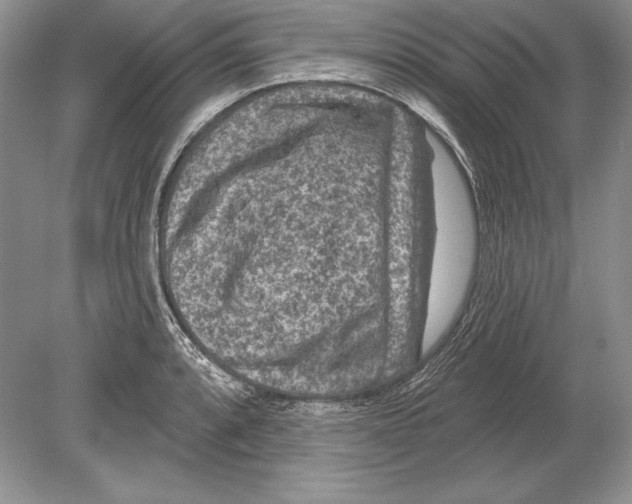 X0000078891088200612111759