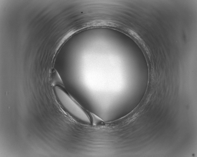 X0000078891089200612111759