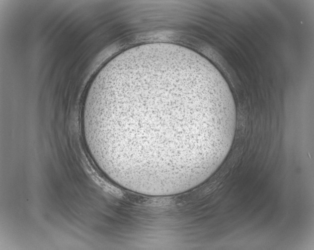 X0000078891090200612111759