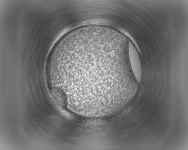 X0000078891091200612111759