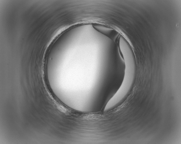 X0000078891093200612111759