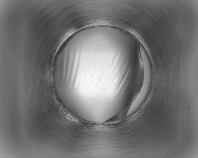 X0000078891097200612111759