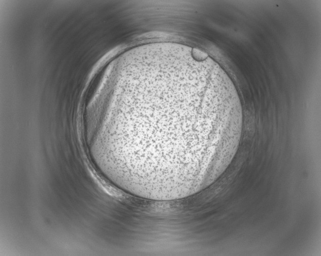 X0000078891098200612111759