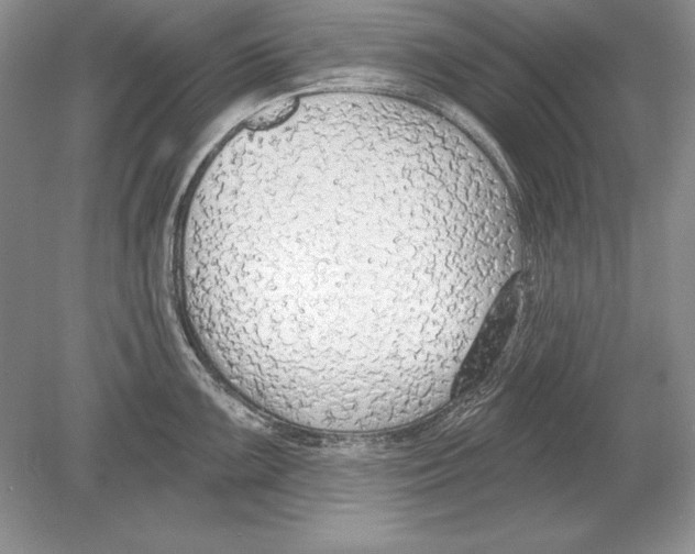 X0000078891099200612111759