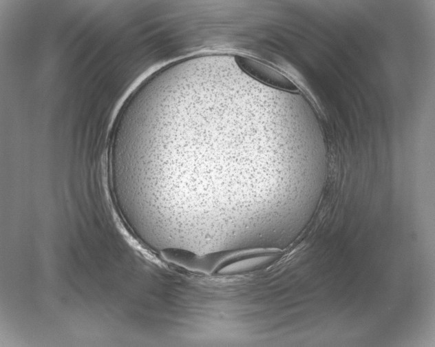 X0000078891100200612111759