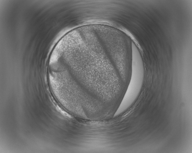 X0000078891102200612111759