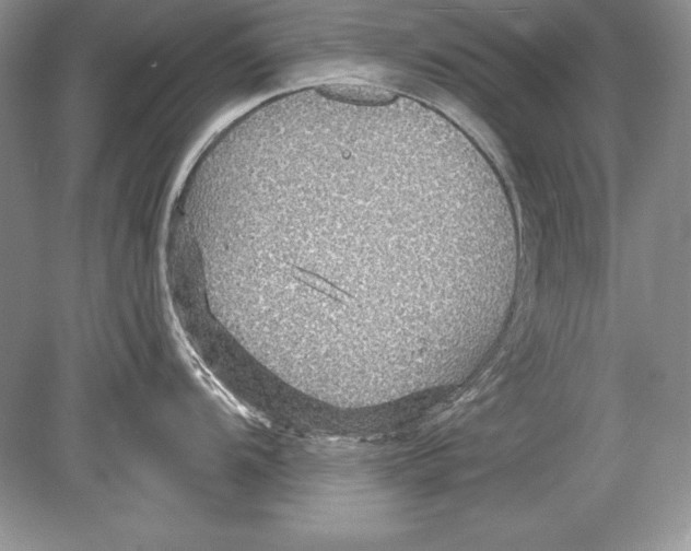 X0000078891104200612111759