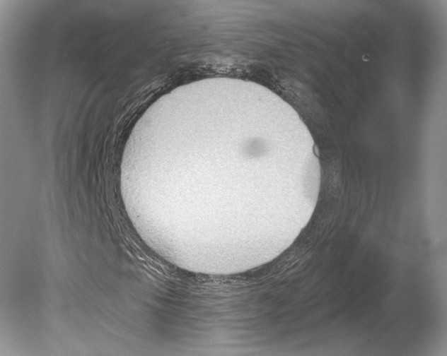 X0000078891105200612111758