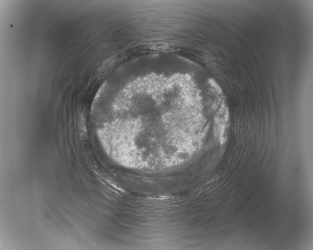 X0000078891106200612111758