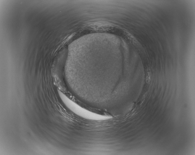 X0000078891108200612111758