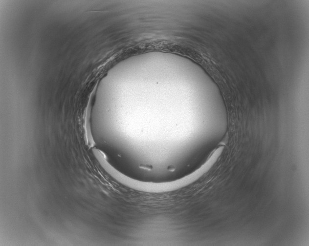 X0000078891109200612111758