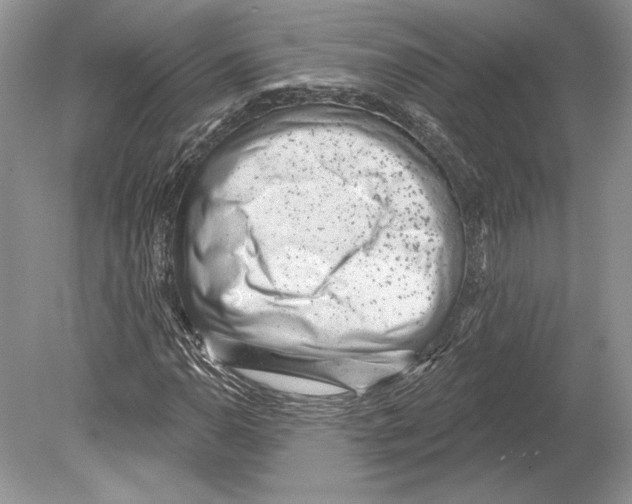 X0000078891110200612111758