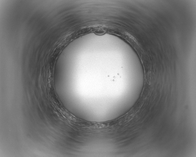 X0000078891111200612111758