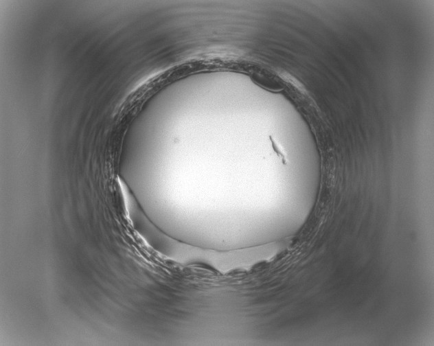 X0000078891112200612111758