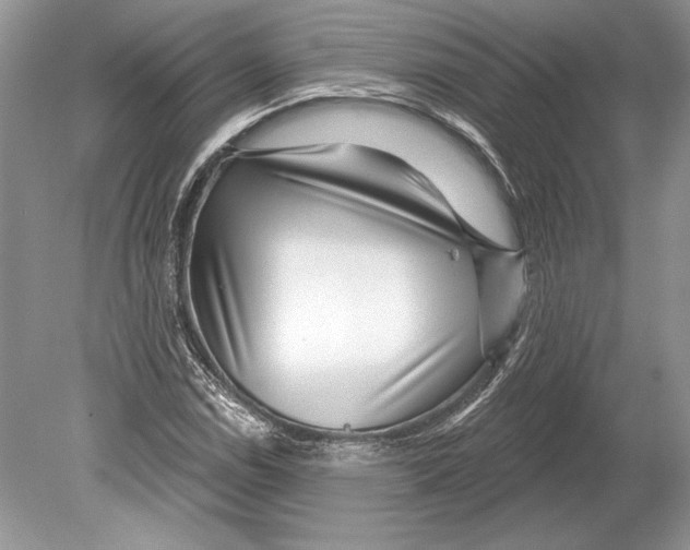 X0000078891114200612111758